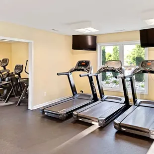 Health club  fitness center  gym