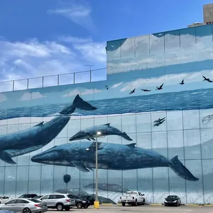Humongous Whale Wall covered the entire side of the building