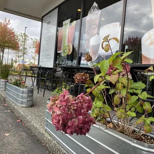 the outside of a coffee shop