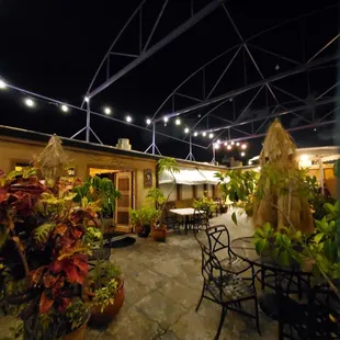 Live plants in the rooftop patio