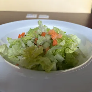 Salad (comes with lunch special)