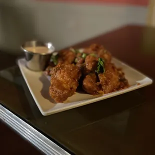 Punjabi Wings