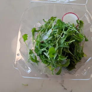 Seaweed Salad