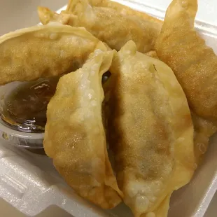 Gyoza