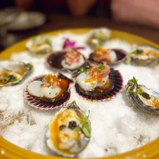 Raw Peruvian scallops