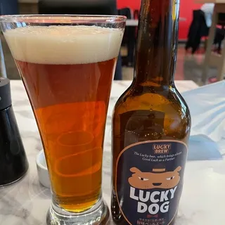 Lucky Dog