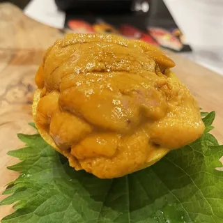 Uni(sea urchin)