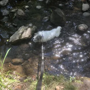 Sweet little stop off to cool off and play a little, while I had a water and snack!