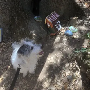 Great day for me and my bestie