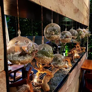 a row of hanging terrariums