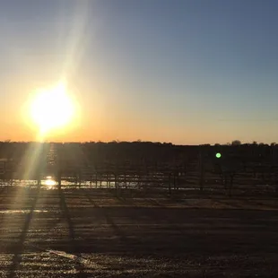 Sunsets at the winery!