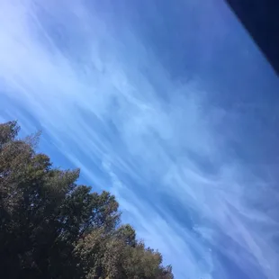Blueberry pancake skys