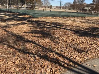 Freeman Park