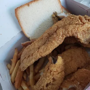 Trout, Whiting, Catfish &amp; fries with white bread on the side