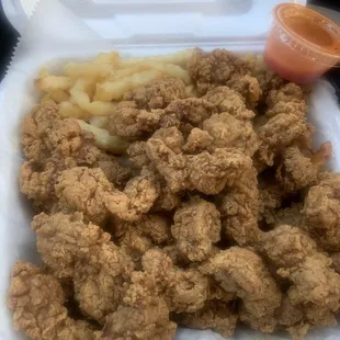 Fried gizzards and fries
