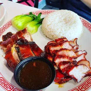 Roast duck and char siew rice with vegetables