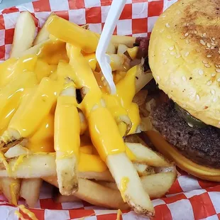 a hamburger and french fries