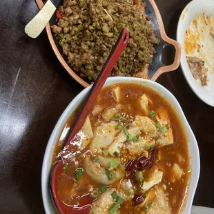 Sour beans fried grounded meat and spicy tofu with fish