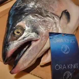 Ora king salmon from New Zealand