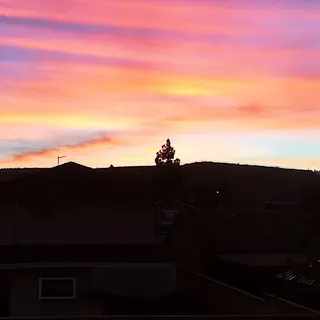 L S.