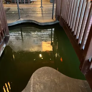 a view of a pond with a bridge in the background