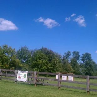 Beautiful day for some target practice.