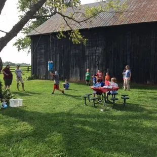 Pinata fun at Hisle Farm Park