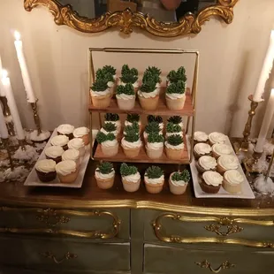 Historic Bates Mansion: wedding cupcakes