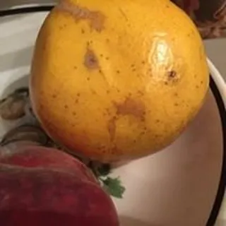 R G.