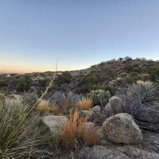 Sunset views at C.O.D. Ranch
