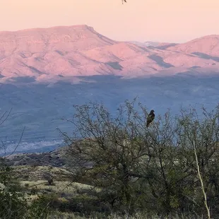 Views at the C.O.D. Ranch