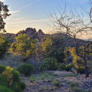 Large Boulder mountain views at C.O.D. Ranch