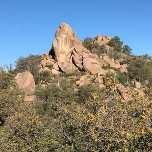 View from one of the hiking trails.