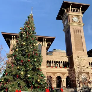 11/30/22: love this Christmas tree!