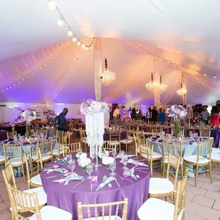 Reception Area-Tent