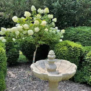 Beautifully kept gardens and restored home.