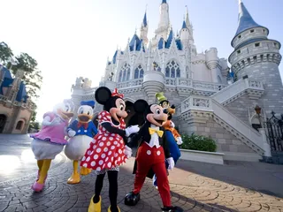 The Vacation Store & The Cruise Company