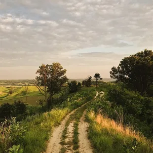 Badger Ridge Trailhead