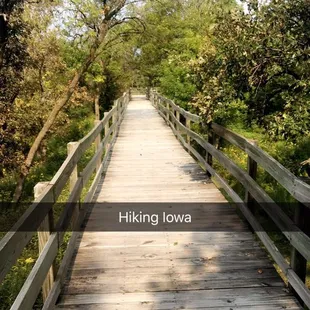 Walkway through the forest - beautiful views!
