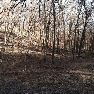 Beautiful day for a hike and conversation