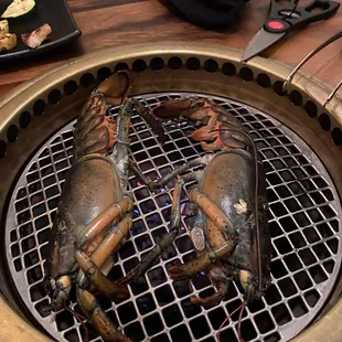 Lobster