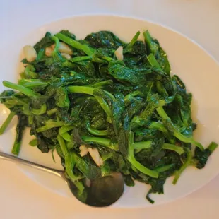 Snow Pea Shoots