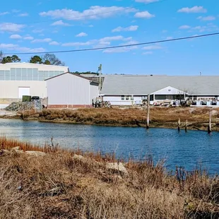 This is their aquaculture facility where they grow the oysters