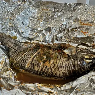 Fish