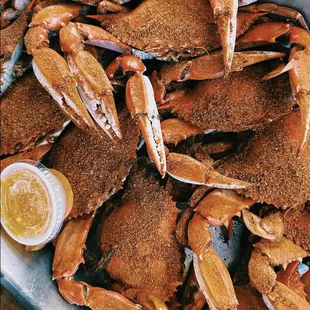 Maryland Style Blue Crabs