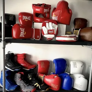 EVERLAST Premium Leather Series Boxing gloves, fucus mitts and boxing shoes