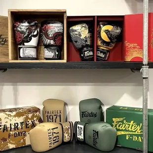 FAIRTEX Limited Edition Boxing Gloves