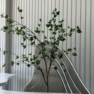  a small tree in a metal chair