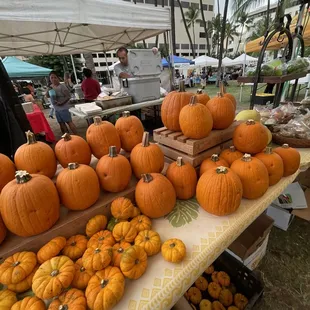 a table of pumpkins and apples