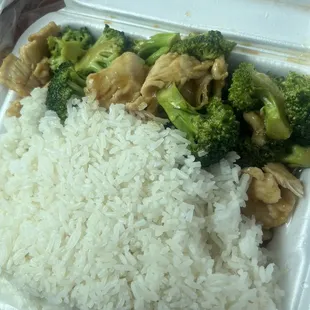 Chicken and broccoli lunch special
